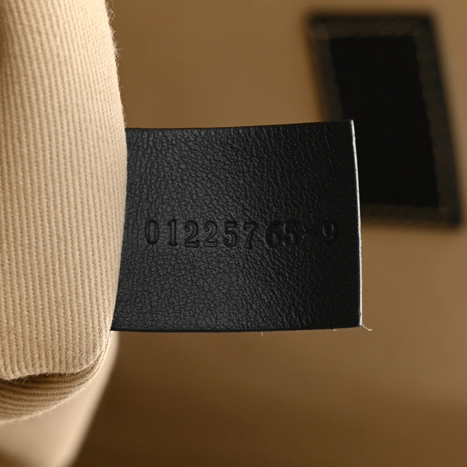 Cotton Calfskin Large Woody Ribbon Tote White Blue