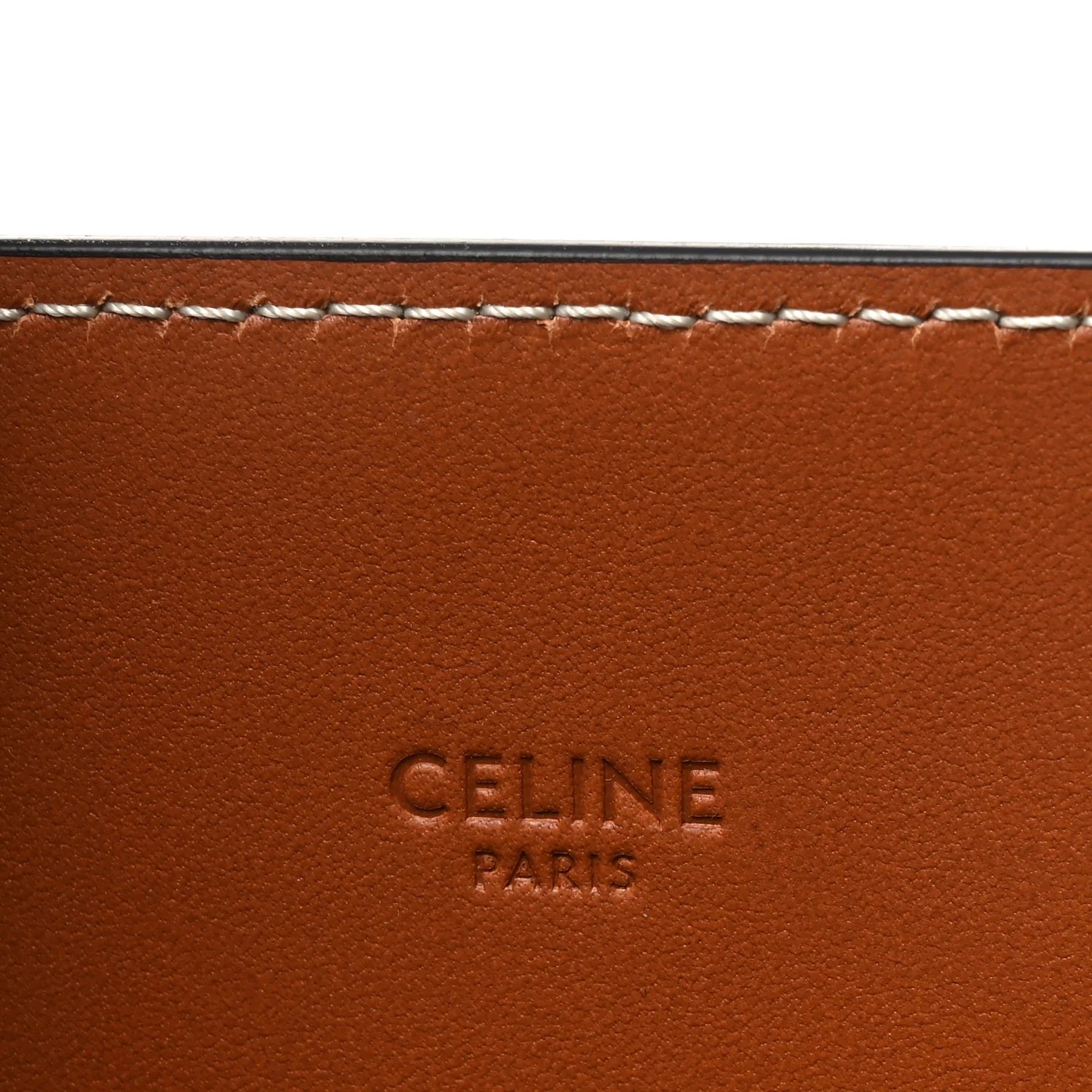 Triomphe Canvas Calfskin Large Vertical Cabas Tan