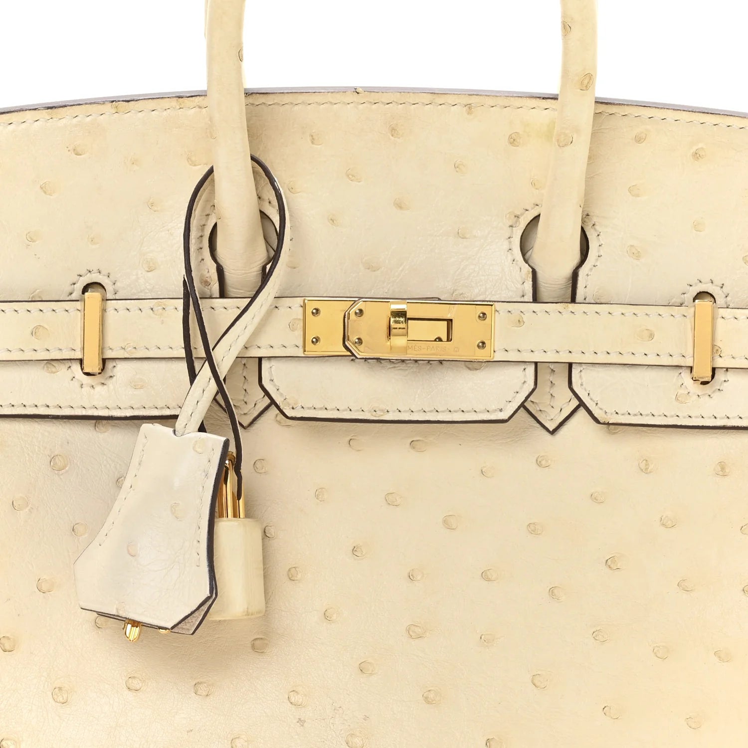 Ostrich Birkin 25 Nata