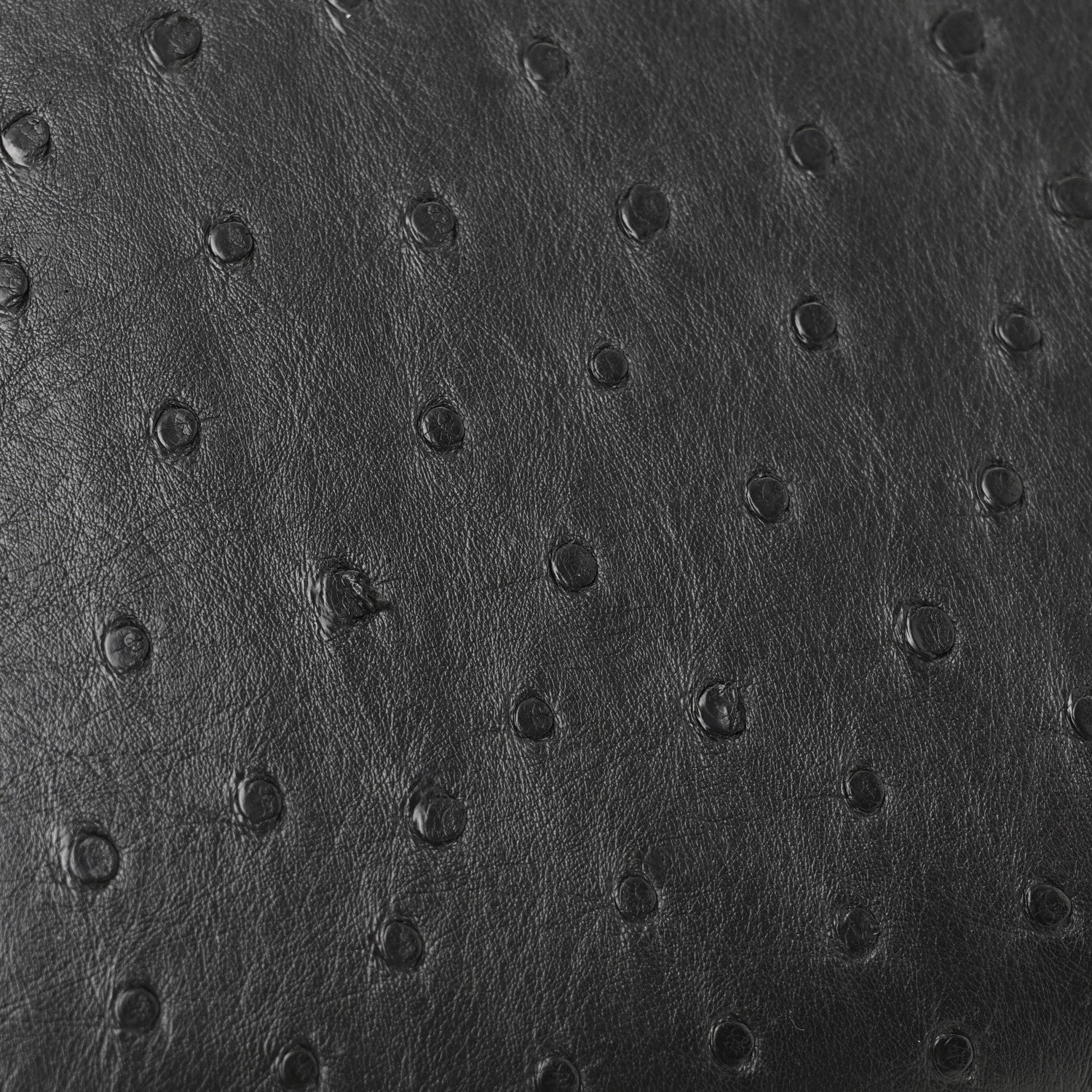 Ostrich City Steamer PM Black