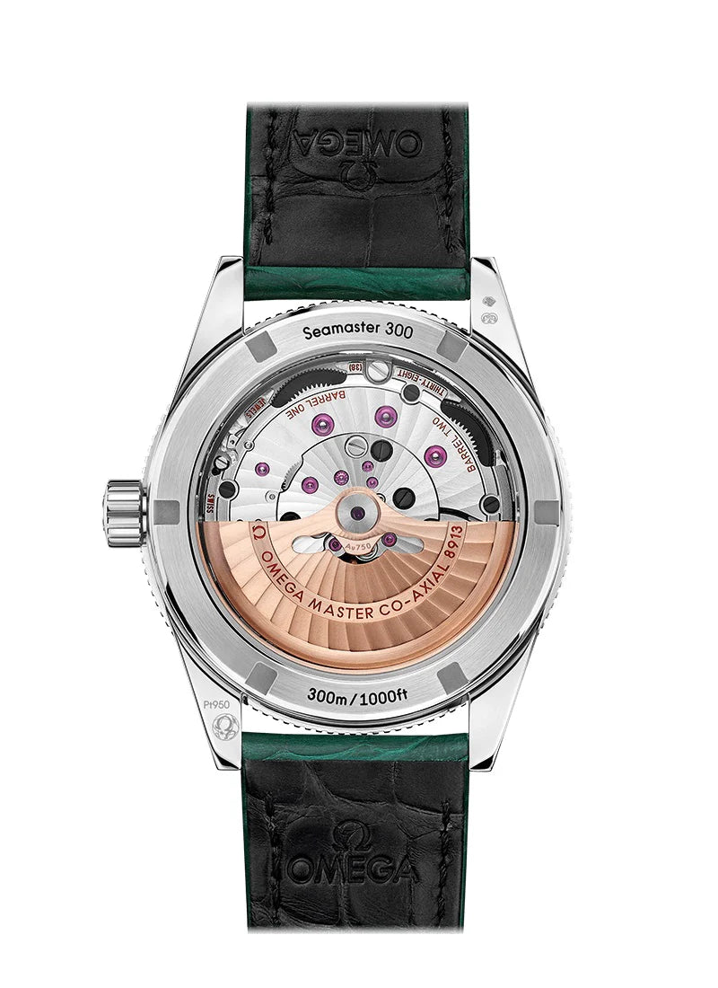 Seamaster 300 CO‑AXIAL MASTER CHRONOMETER Ref# 234.93.41.21.99.001