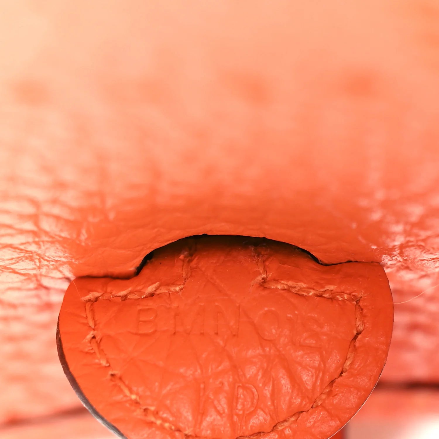 Taurillon Clemence Evelyne TPM Orange