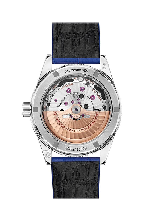 Seamaster 300 CO‑AXIAL MASTER CHRONOMETER Ref# 234.93.41.21.99.002