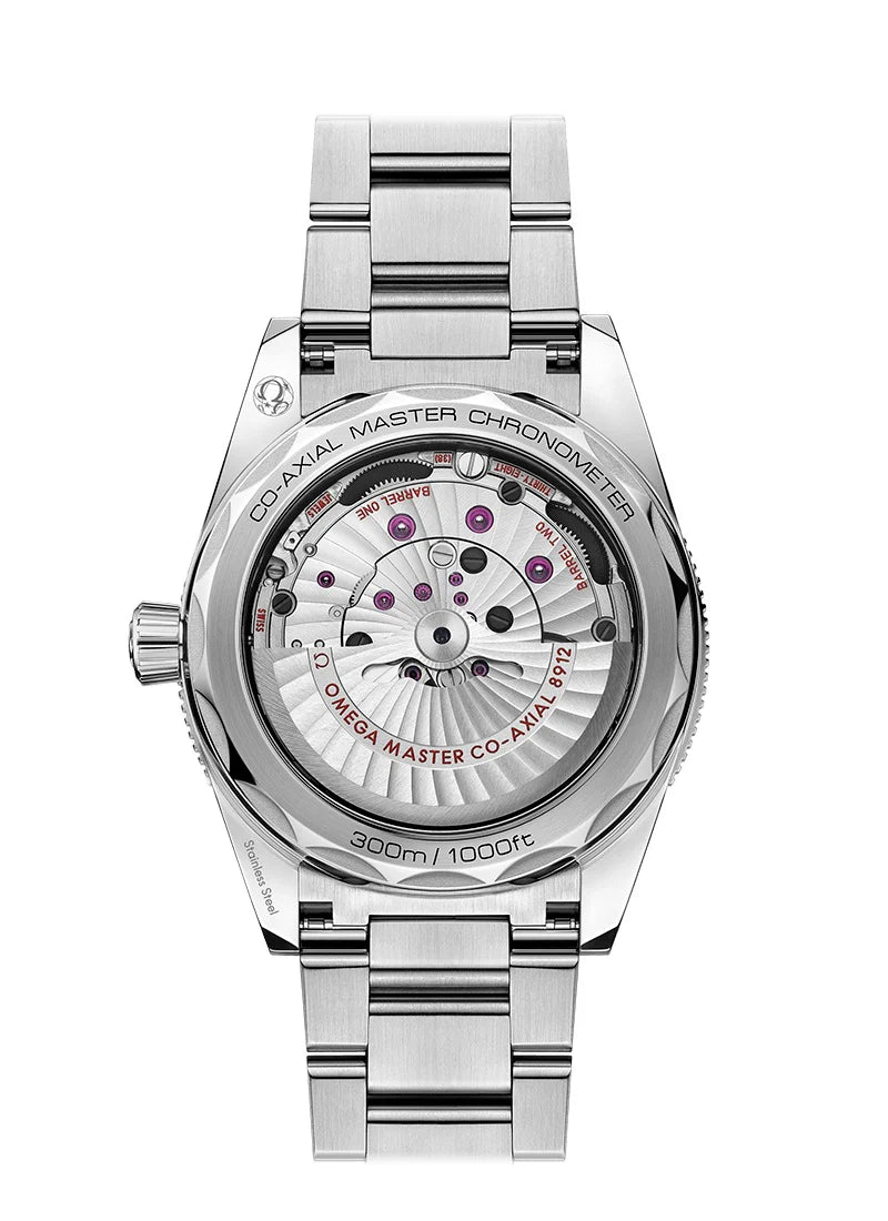 Seamaster 300 CO‑AXIAL MASTER CHRONOMETER Ref# 234.30.41.21.01.001