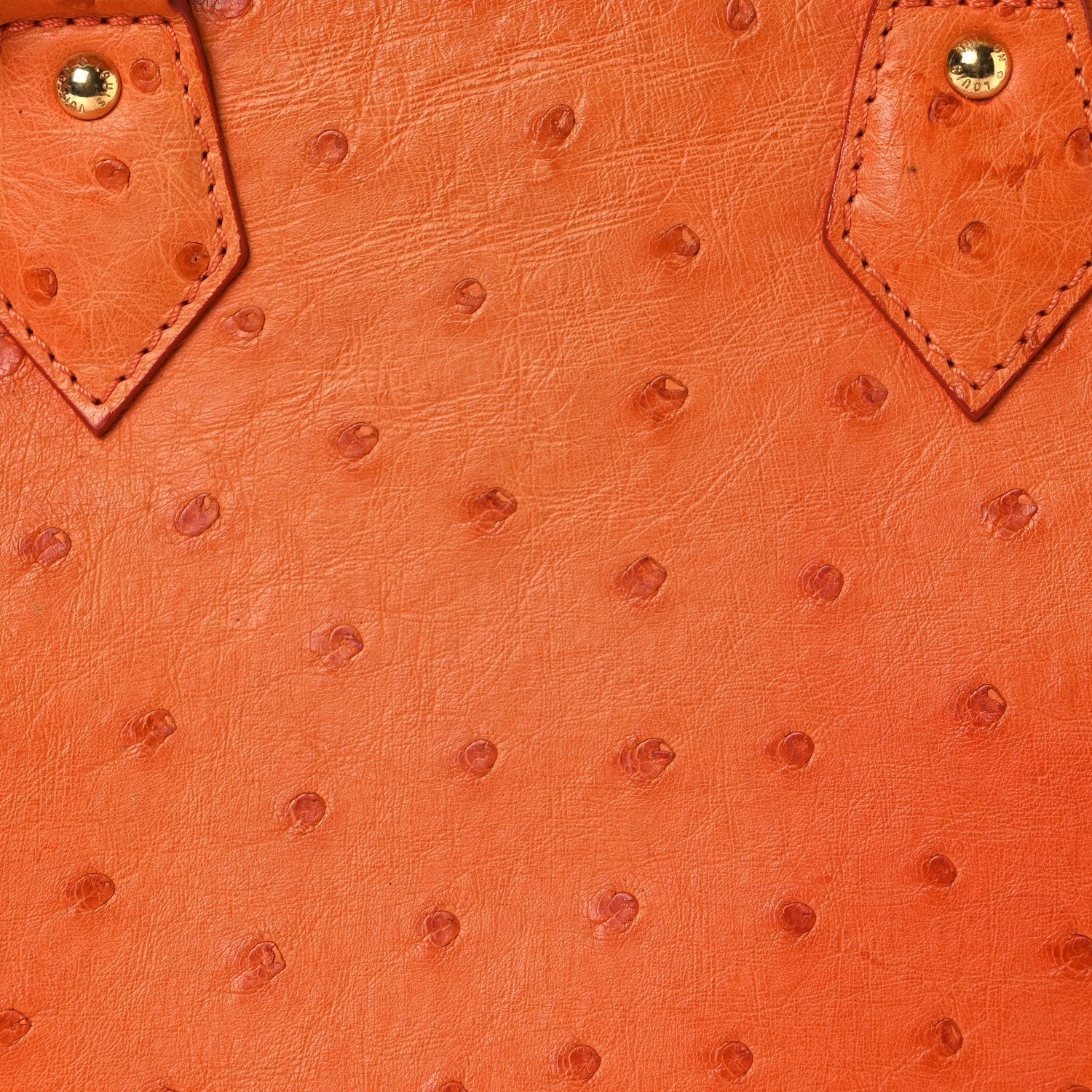 Ostrich Alma BB Piment