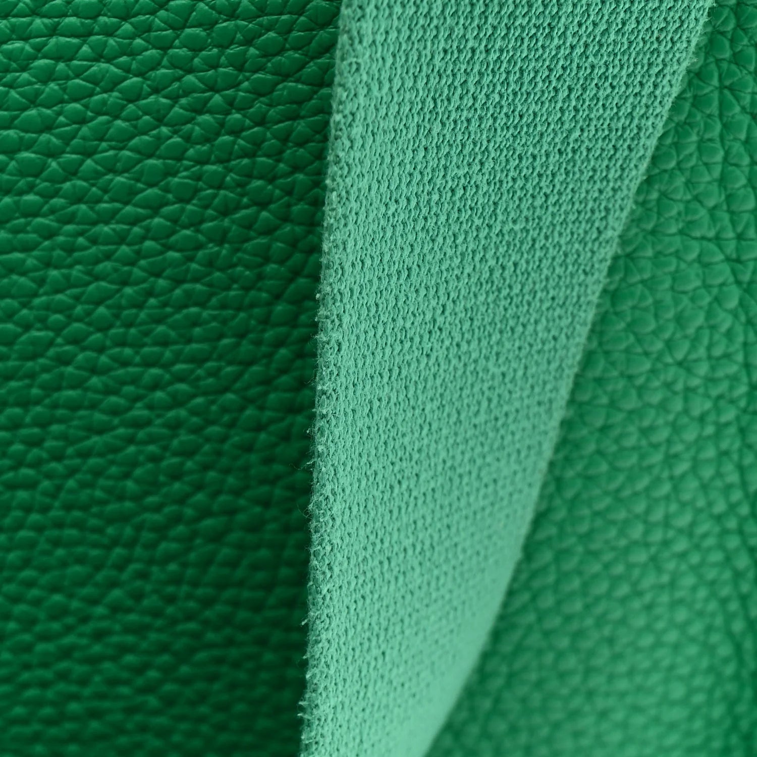 Taurillon Clemence EVELYNE III PM Menthe