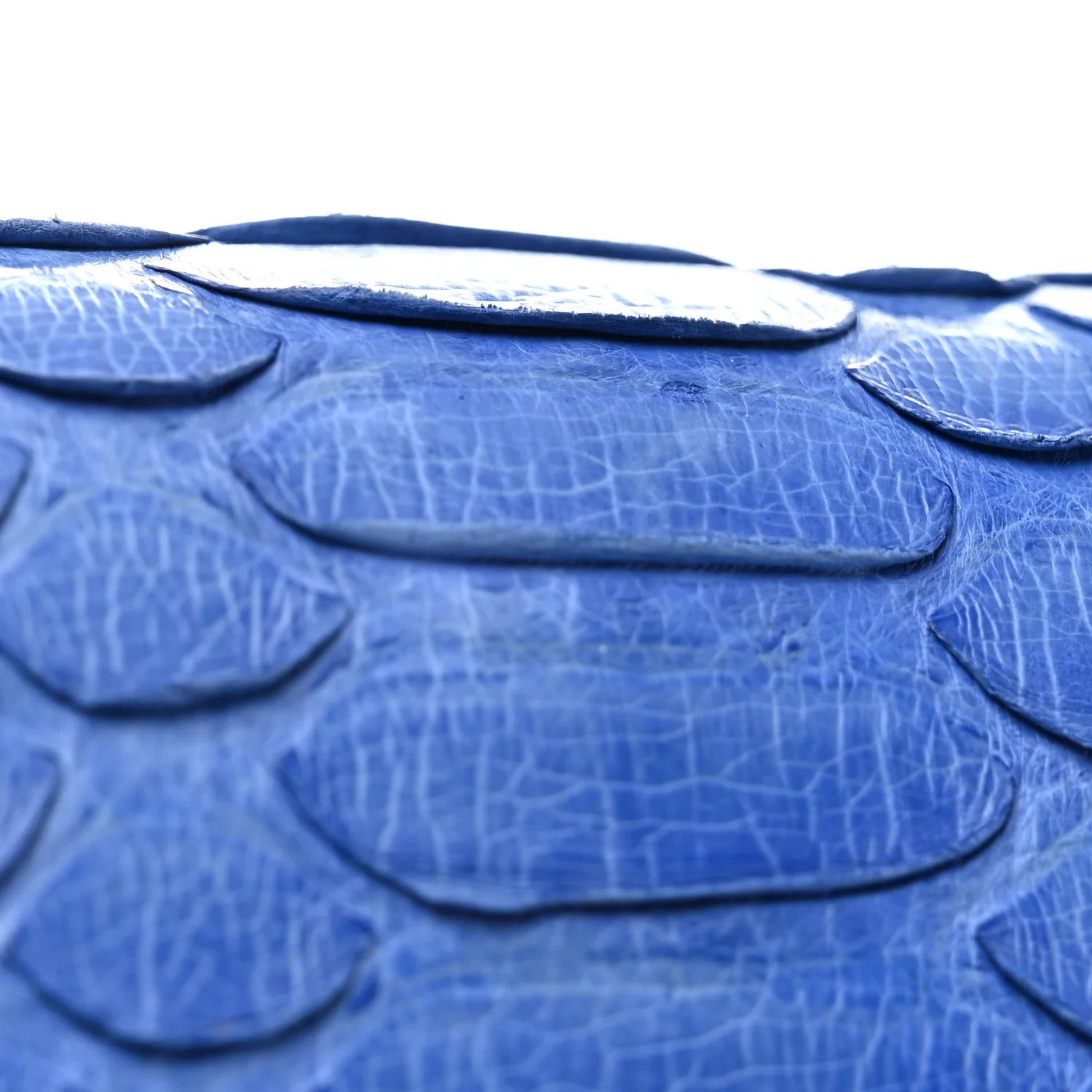 Snakeskin Medium Classic Box Flap Blue