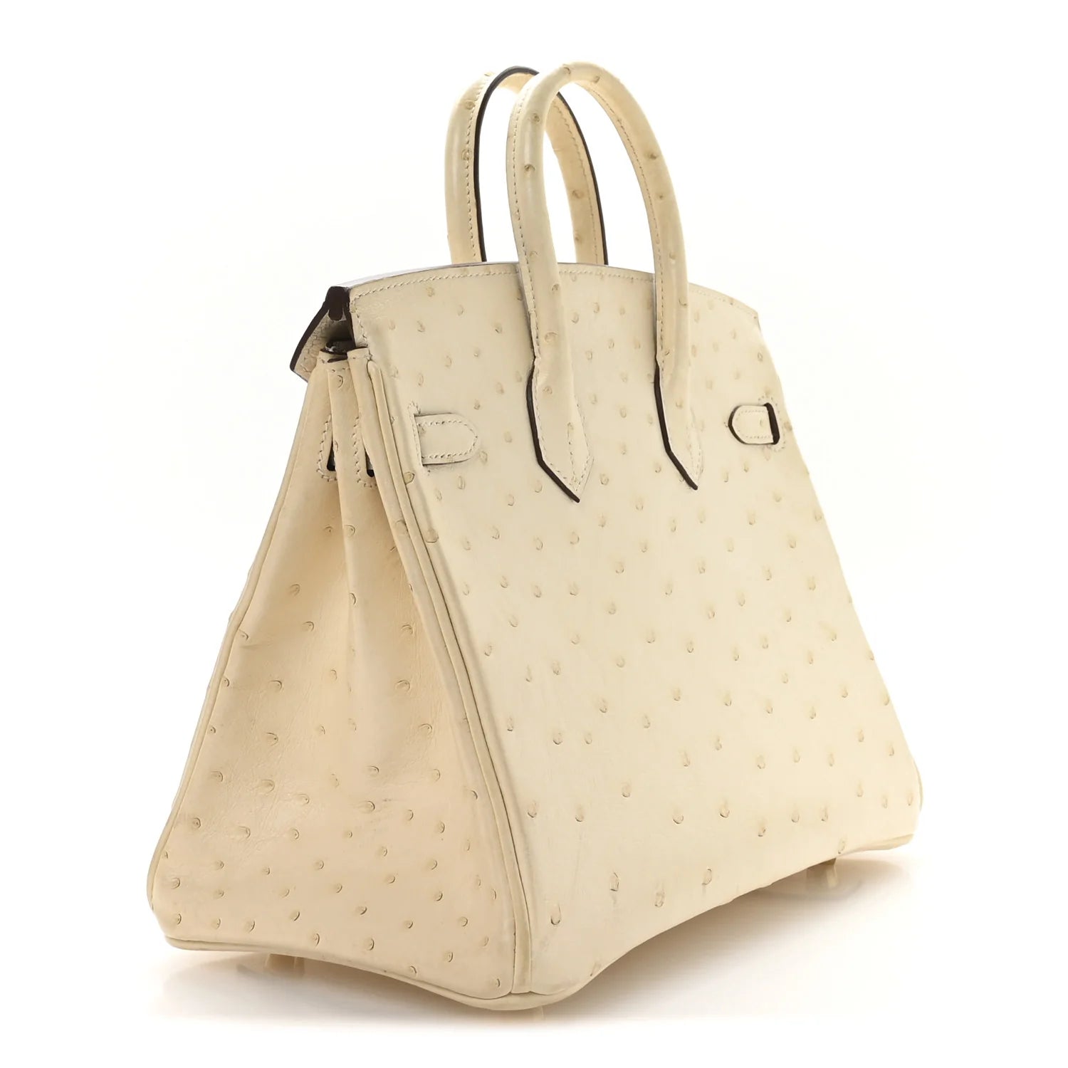 Ostrich Birkin 25 Nata