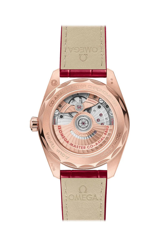 Seamaster AQUA TERRA 150M CO‑AXIAL MASTER CHRONOMETER SMALL SECONDS Ref# 220.58.38.20.55.002