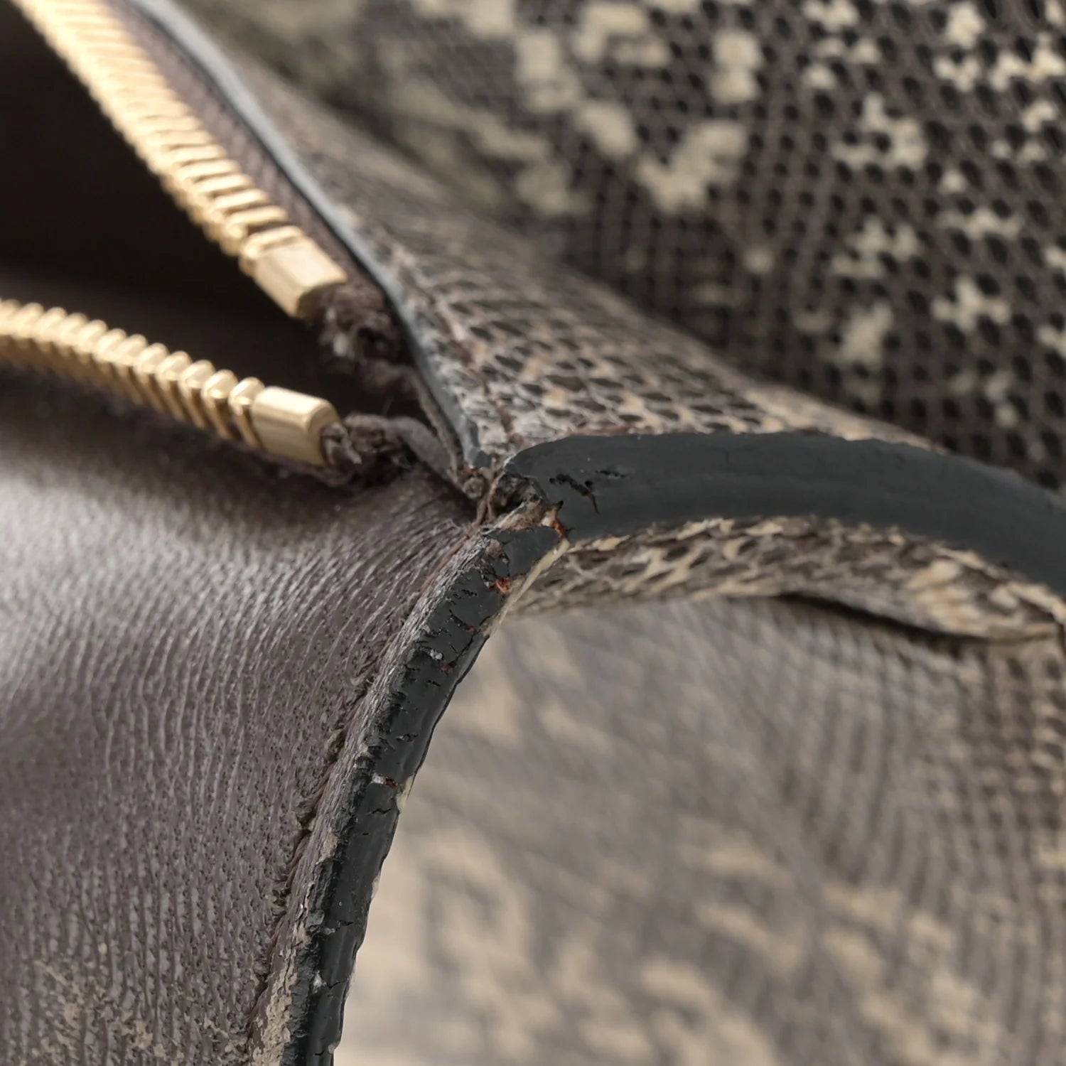 Lizard Medium Classic Box Flap Bag Natural