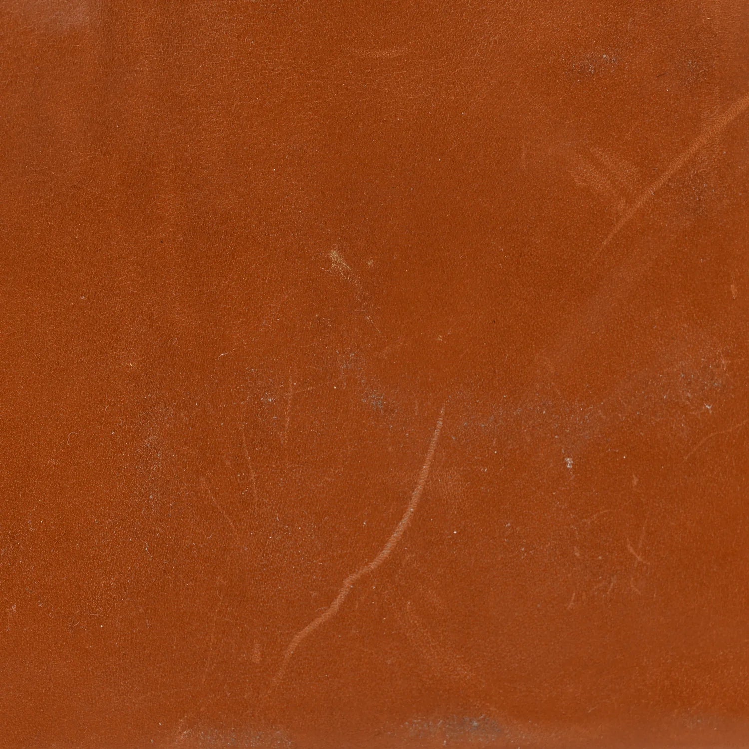 Toile Barenia Bourlingue Fauve